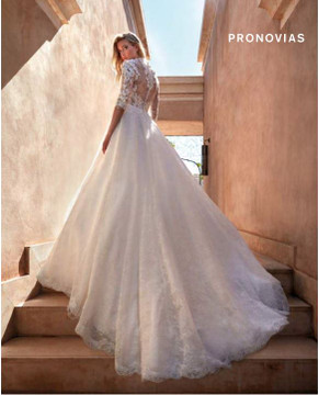 ZEMLYA A-line dress in chantilly, lace, beads Wedding Dress by Pronovias