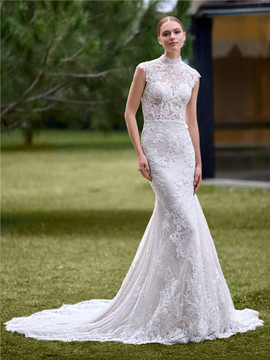 Damia Wedding Dress by Pronovias Mermaid dress with high neck