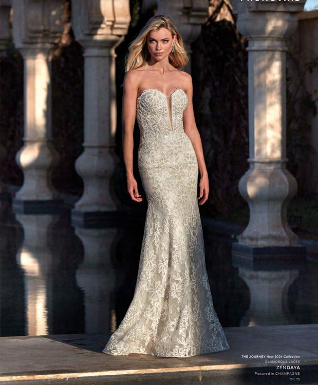 MIRABEL V-neck beaded 3D lace mini Wedding Gown by Calla Blanche