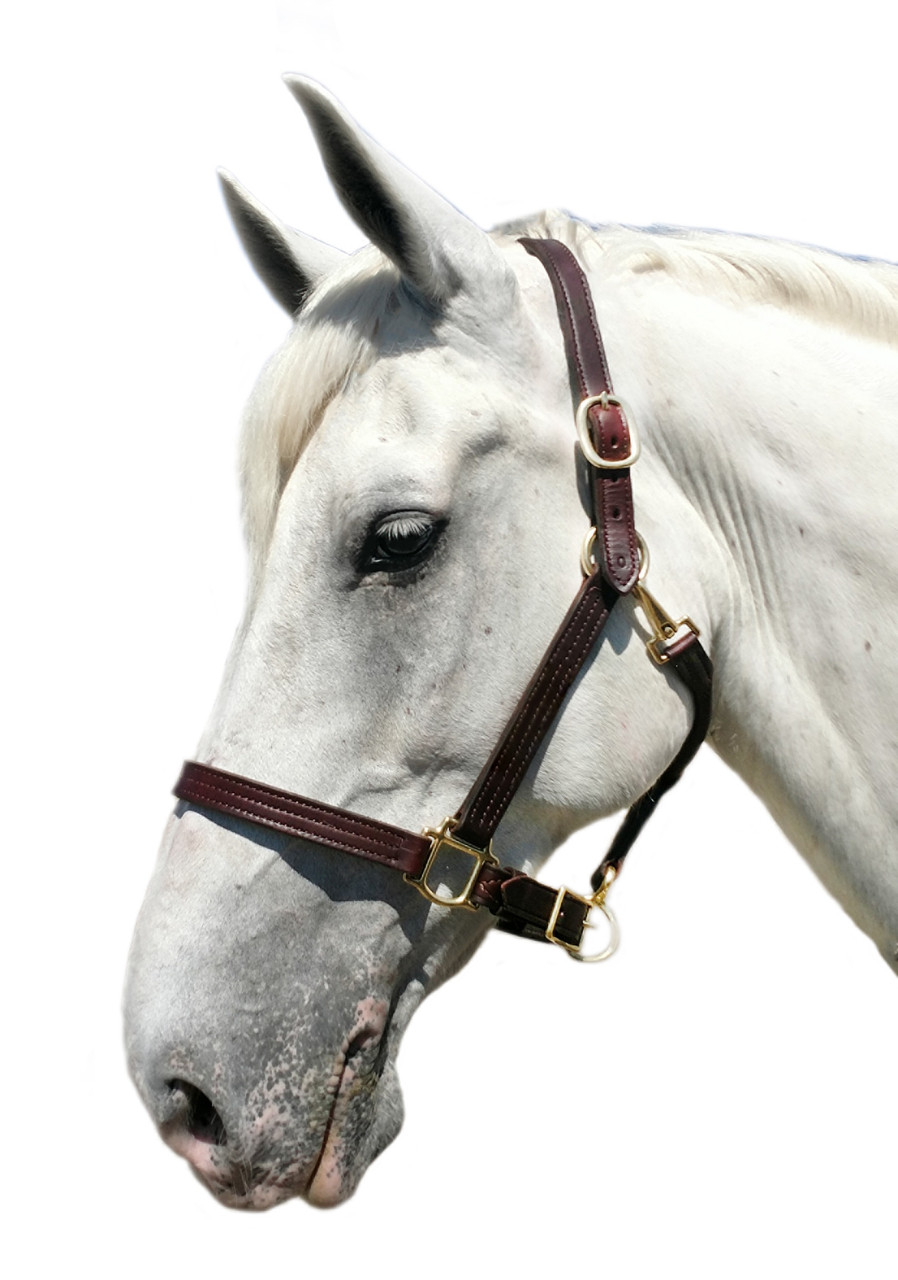 1inch Triple Stitched Halter - Horse