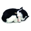 Perfect Petzzz Breathing Kitten - Black & White is so cute and lifelike, you can even see it breathe! The perfect calming companion.