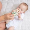 Explore the Playground Box 2 - Learn & Explore Sensory Toy Box for babies 4–6 months, with teether balls, scarves, textured balls, flash cards and animal book.