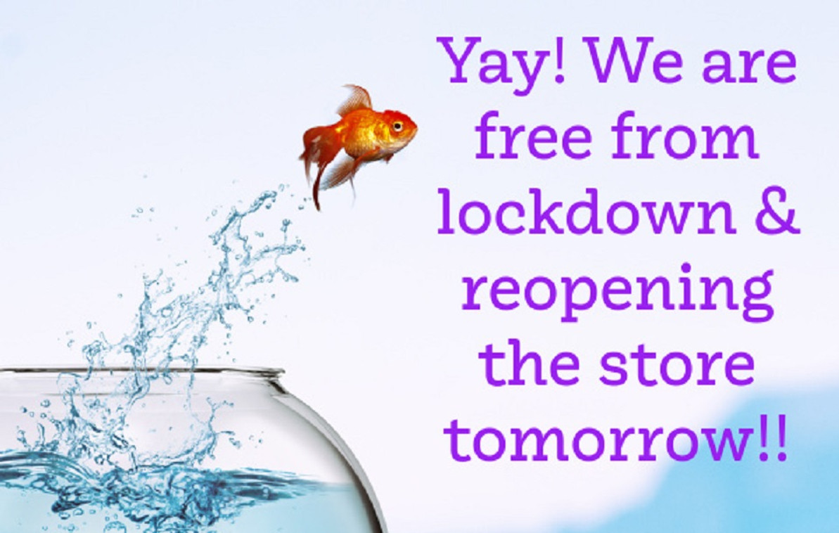 Free From Lockdown!