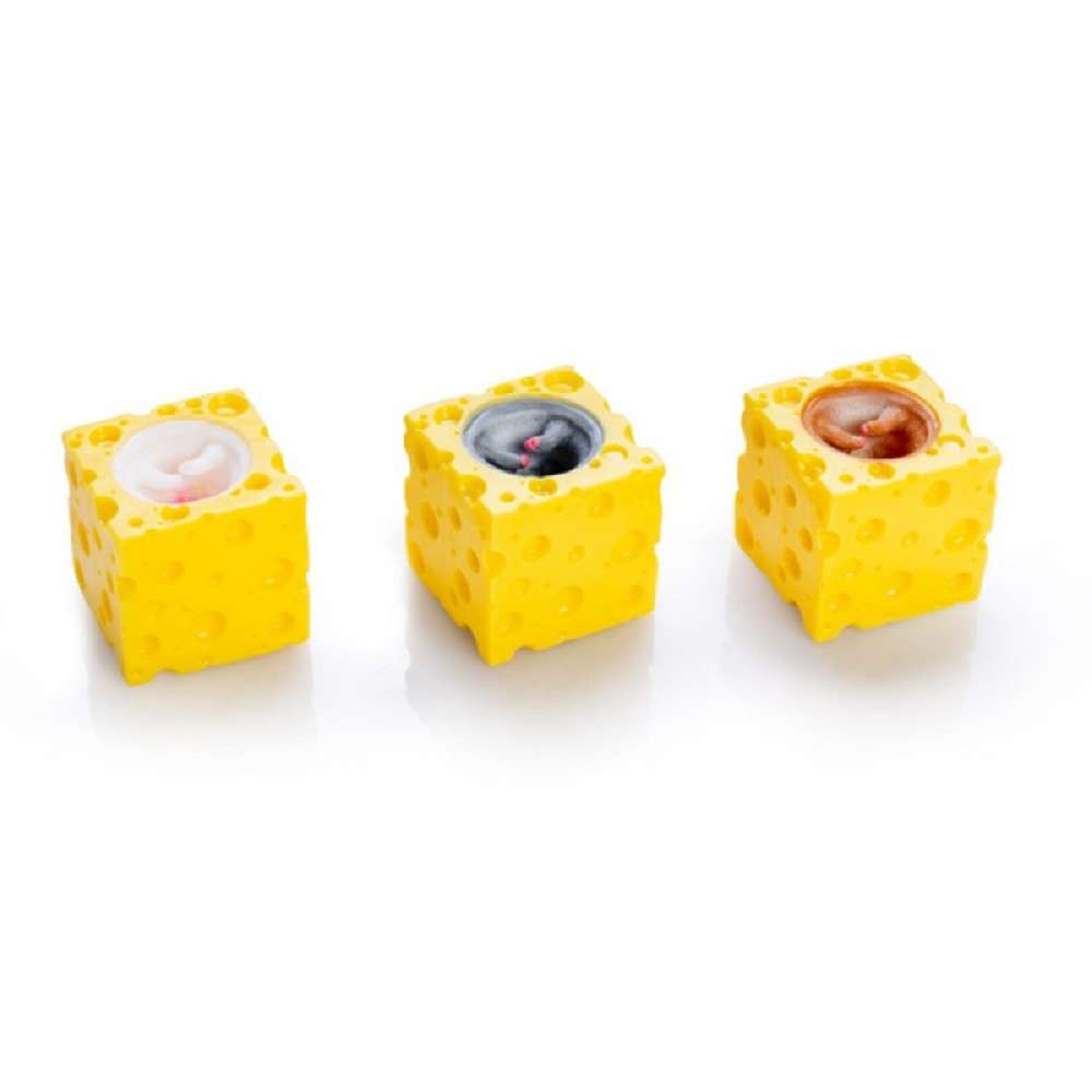Pop Up Mouse & Cheese