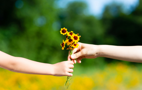 Understanding the Double Empathy Problem - It's Not Just About "Fitting In"