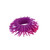 Available in six funky colours, a Stretchy Spiky Wristband is a great fidget for stretching, pulling and squeezing. Sensory Toy Store Melbourne.