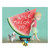 Water Melon Pip is an utterly gorgeous kids' book about sustainability and sharing. Sensory Toy Store Melbourne. Australia Wide Shipping.