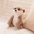 Meet Milo Meerkat from the charming Toasty Hugs series, a collection designed to bring warmth and comfort to everyone.