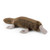 Crafted with realistic detail, this Living Nature Duck Billed Platypus plush features soft brown fur that mimics the platypus's waterproof coat, along with its distinctive duck-like bill and webbed feet