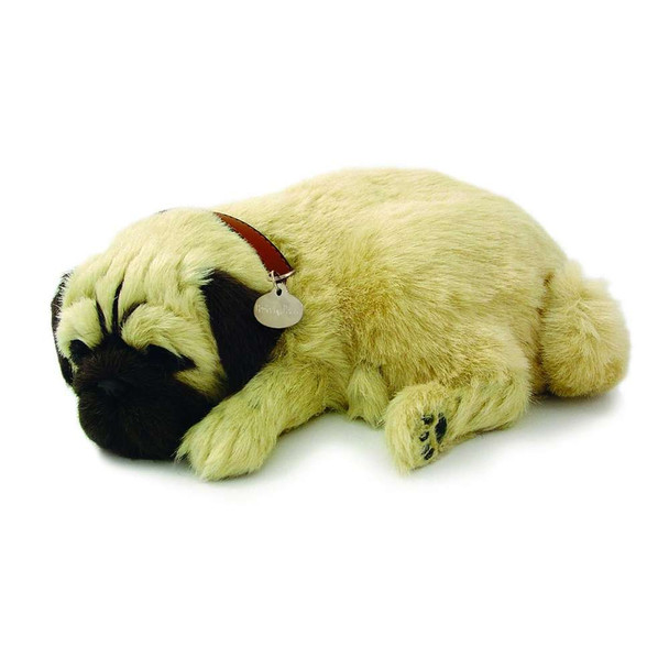 Perfect Petzzz Breathing Puppy - Pug is so cute and lifelike, you can even see it breathe! The perfect calming companion.