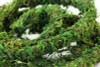 Galapagos MossVine Green 12ft