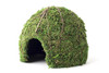 Galapagos Mossy Dome Green 9" Diameter