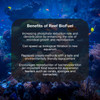 Brightwell Reef BioFuel Enhances Nutrient Uptake in Marine Aquaria 250mL