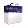 Red Sea Reefer MAX 625 G2+ System White