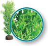 Weco Plant Bushy Kelp 9"