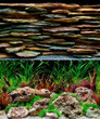 Seaview Slateways/Aqua Wild 18"x 50' Double Sided Background
