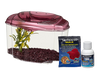 Marina Betta Pals Kit Burgundy