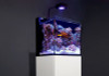 Red Sea MAX Nano G2 XL Aquarium with White Cabinet