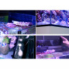 Red Sea MAX Nano Cube G2 Aquarium (Tank Only)