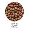 Hikari Saki-Hikari Color KOI Diet Floating Pellet Medium 11 lbs