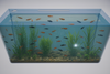 ProClear ProStar 45 Gallon 48"Lx13"Wx17"H Rectangular Acrylic Aquarium