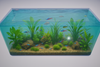 ProClear ProStar 55 Gallon 36"Lx18"Wx20"H Rectangular Acrylic Aquarium