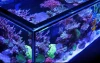 Red Sea Reef-Frame MAX 170 White
