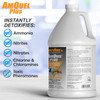 Kordon AmQuel Plus 1 Gallon
