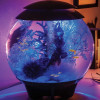 biOrb HALO 8-Gallon Moonlight White MCR Aquarium