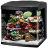 Coralife 32 LED BioCube Aquarium
