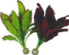 BiOrb Medium Silk Plant Green/Purple - set of two
