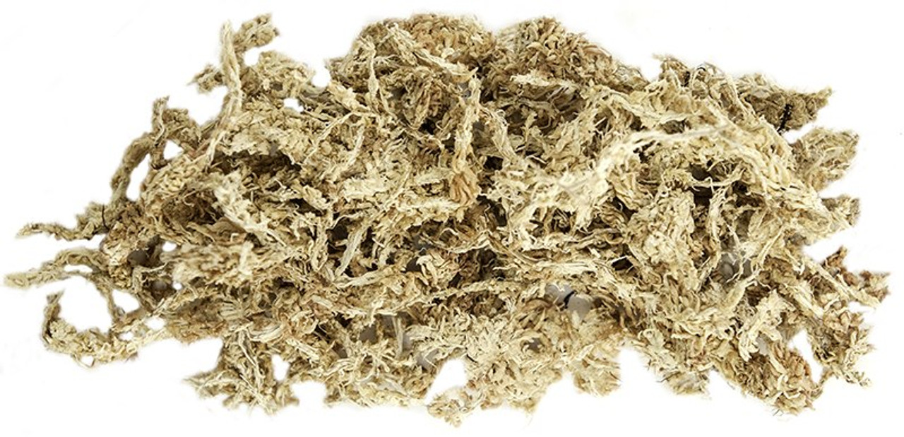 Sphagnum Moss - Golden