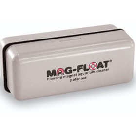 dog grooming tools list