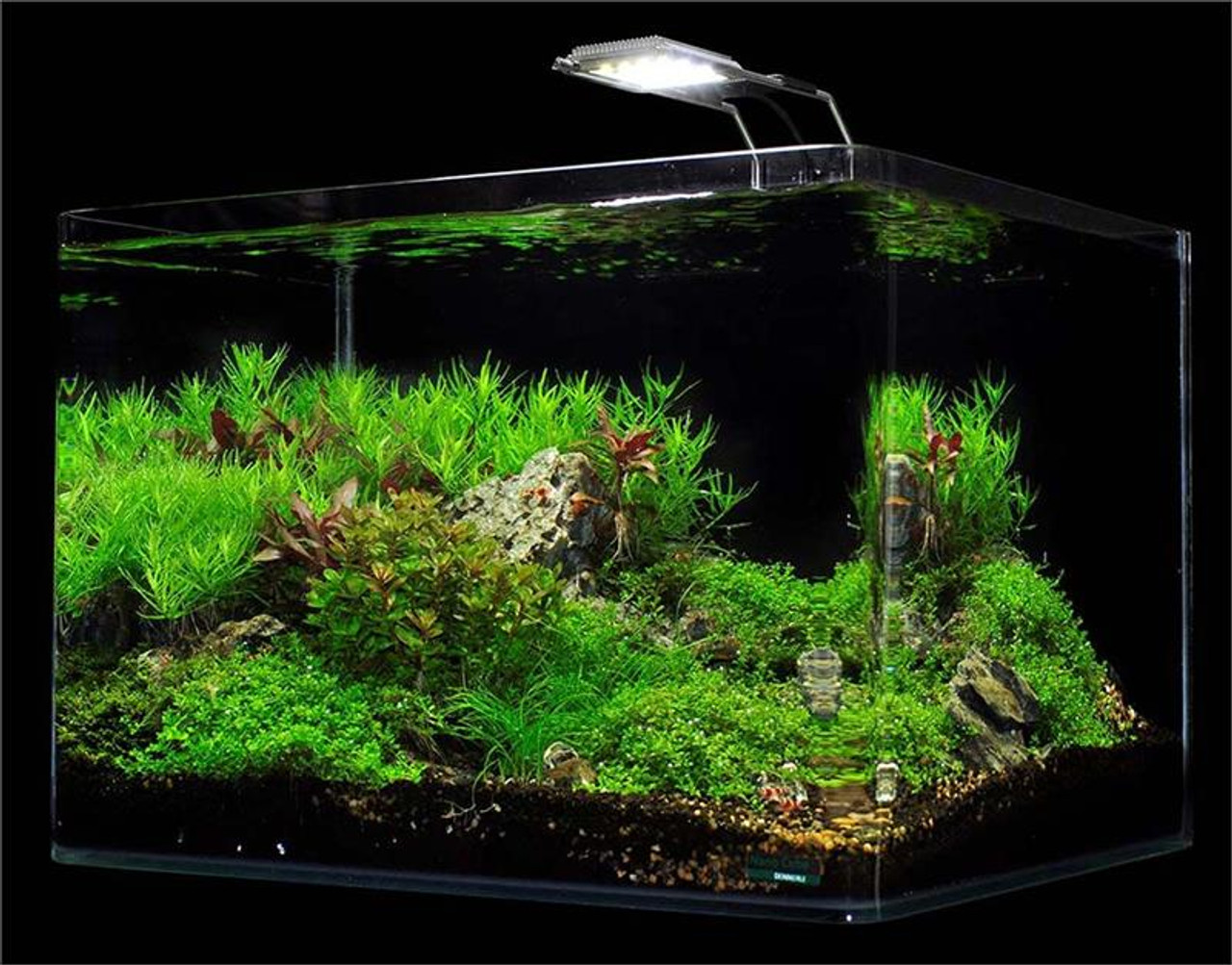 JBJ Dennerle- Scaper's Tank Kit @ Fish Tanks Direct