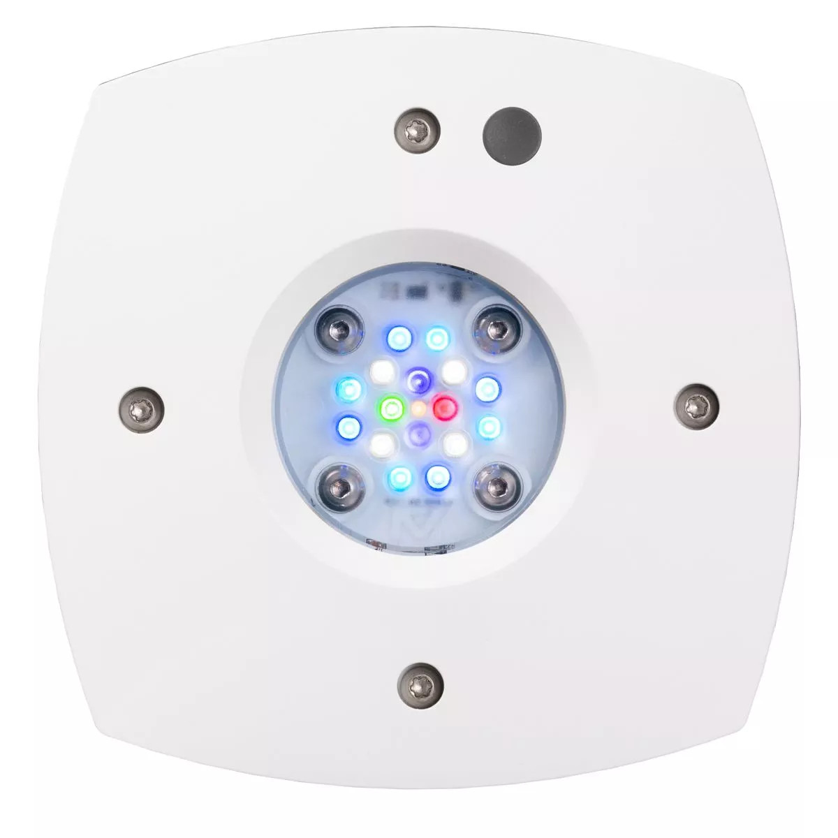 AI Prime 16 HD White @ Fish Tanks Direct