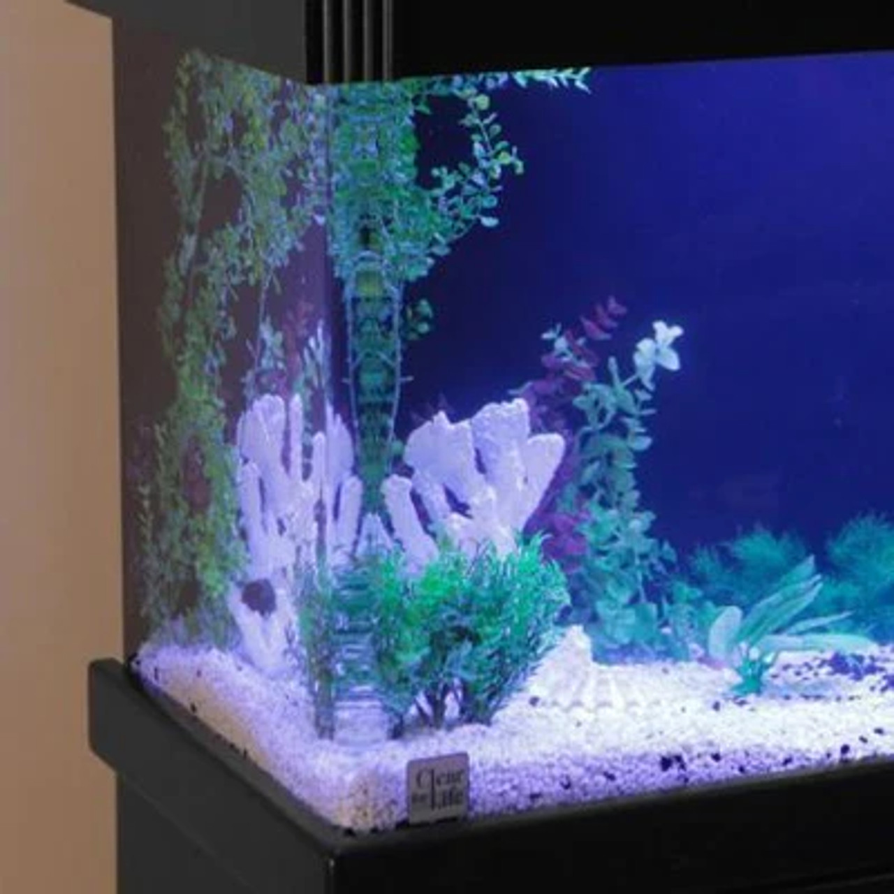 Clear-for-Life Deluxe 300-Gallon 96Lx24Wx30H Rectangular Acrylic Aquarium  300 T @ Fish Tanks Direct