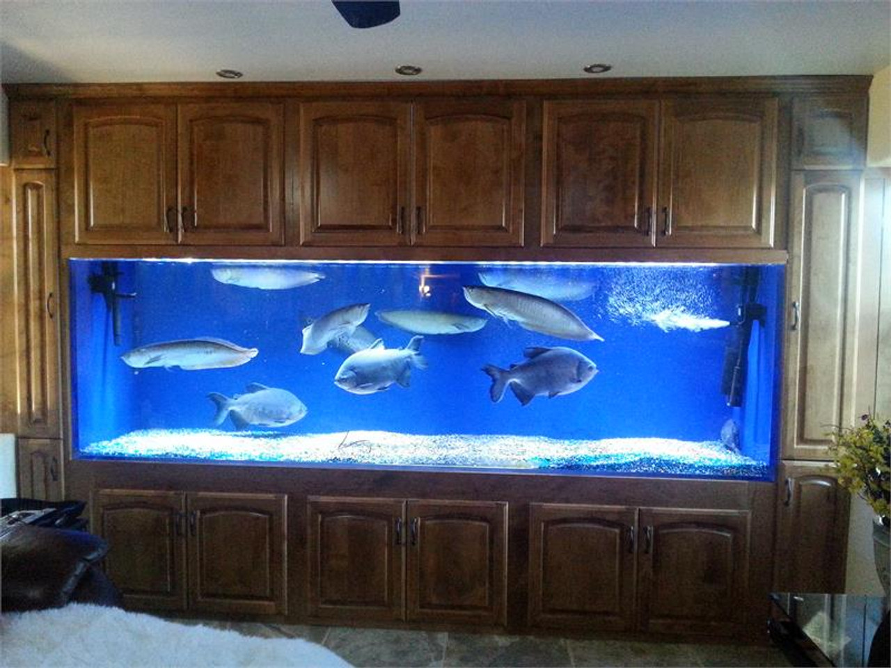 Home Decor Fish Aquarium at Rs 500/piece