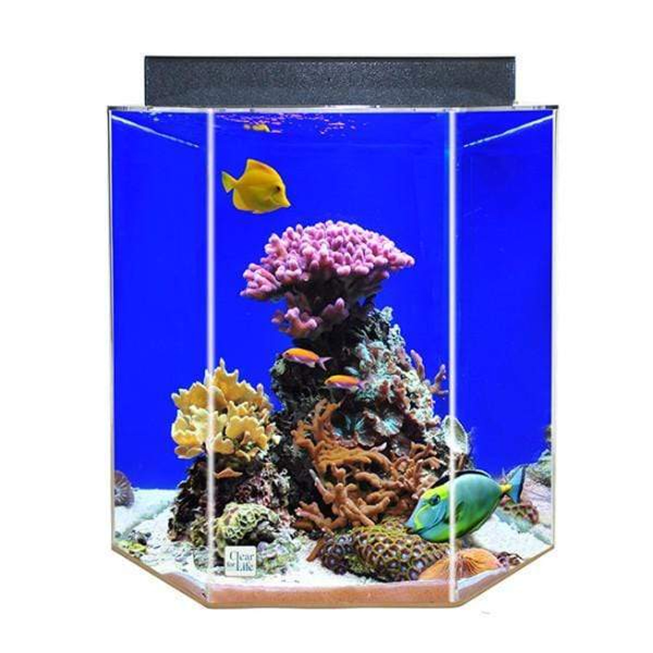 Clear-for-Life 55-Gallon 25Lx25Wx24H Hexagon Acrylic Uniquarium 55G Hex  U @ Fish Tanks Direct