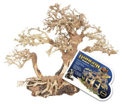 ZooMed Dragon Bonsai Tree MED