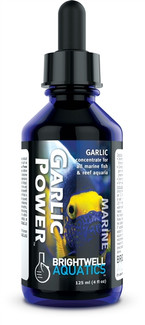 Brightwell Garlic Power Concentrated Garlic Supplement 125mL