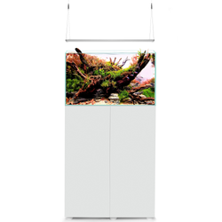 AquaEl Ultrascape 60 with Ultra Slim Snow (Tank, Light, Cabinet)