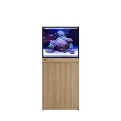 Red Sea Reef-Frame 170 Oak