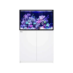 Red Sea REEFER 300 G3+ White