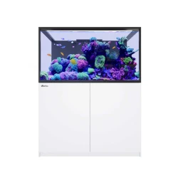 Red Sea REEFER S-550 G3+ White