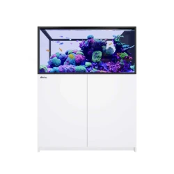 Red Sea REEFER MAX Peninsula 500 G3+ White