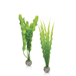 biOrb Plant Medium (2-Pack) Green