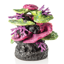 Biorb Coral Ridge Ornament Green-Purple