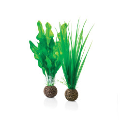 biOrb Plant Small (2-Pack) Green