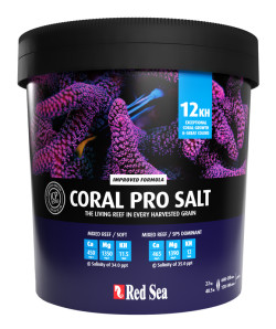salt