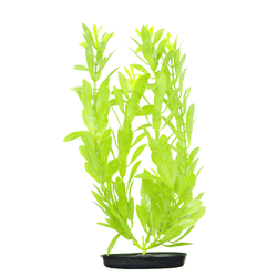 Marina 8" Baby Green VibraScaper Hygro